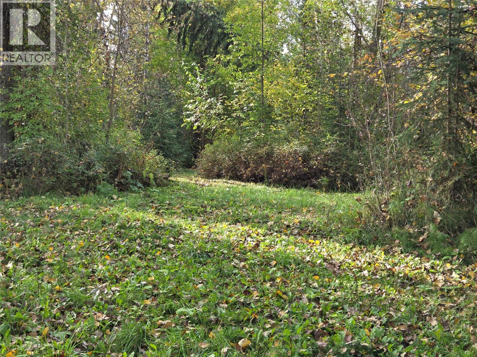 26 Barnes Road, Lumby, British Columbia  V0E 2G7 - Photo 25 - 10364604