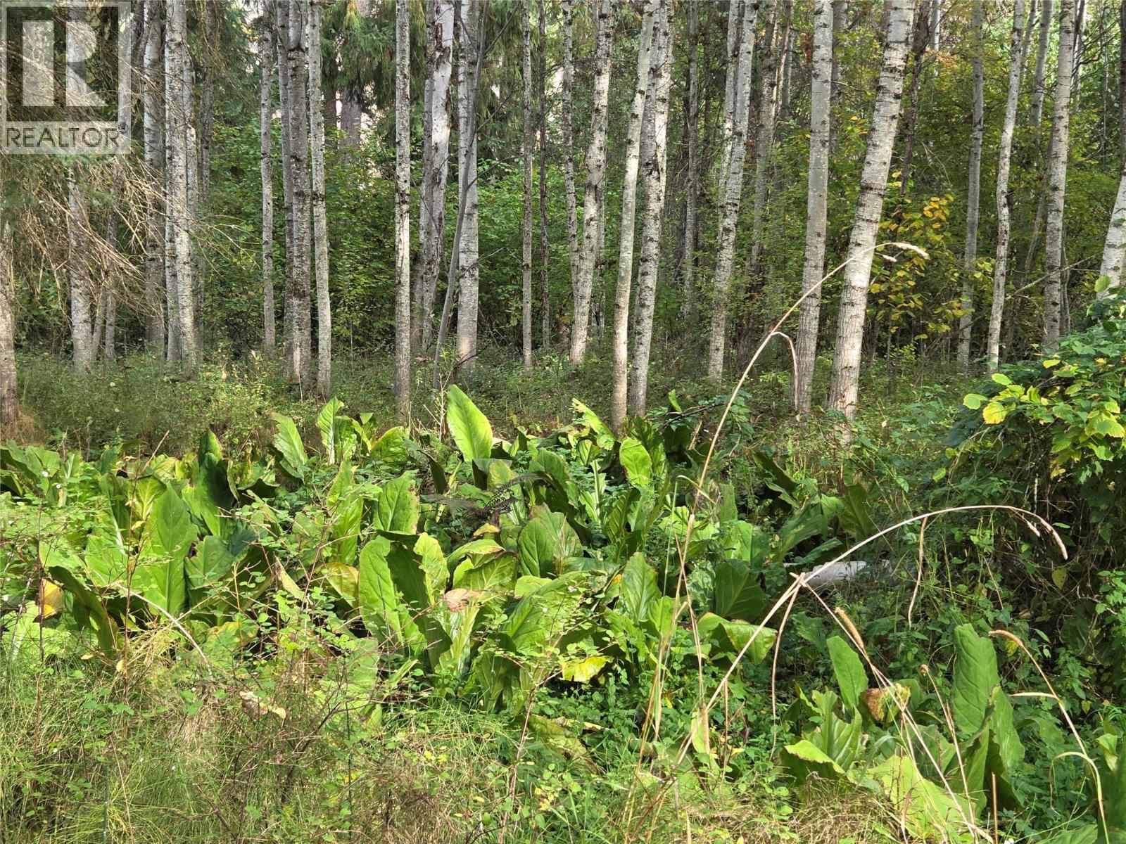 26 Barnes Road, Lumby, British Columbia  V0E 2G7 - Photo 26 - 10364604