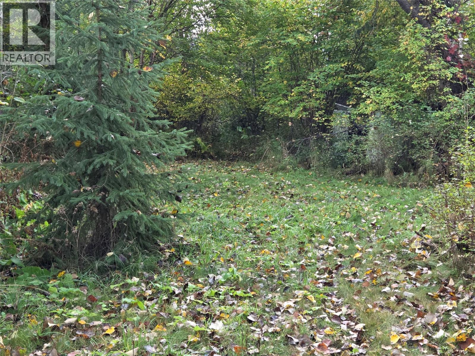 26 Barnes Road, Lumby, British Columbia  V0E 2G7 - Photo 27 - 10364604