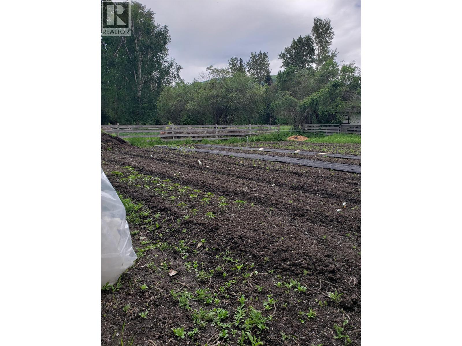 26 Barnes Road, Lumby, British Columbia  V0E 2G7 - Photo 6 - 10364604