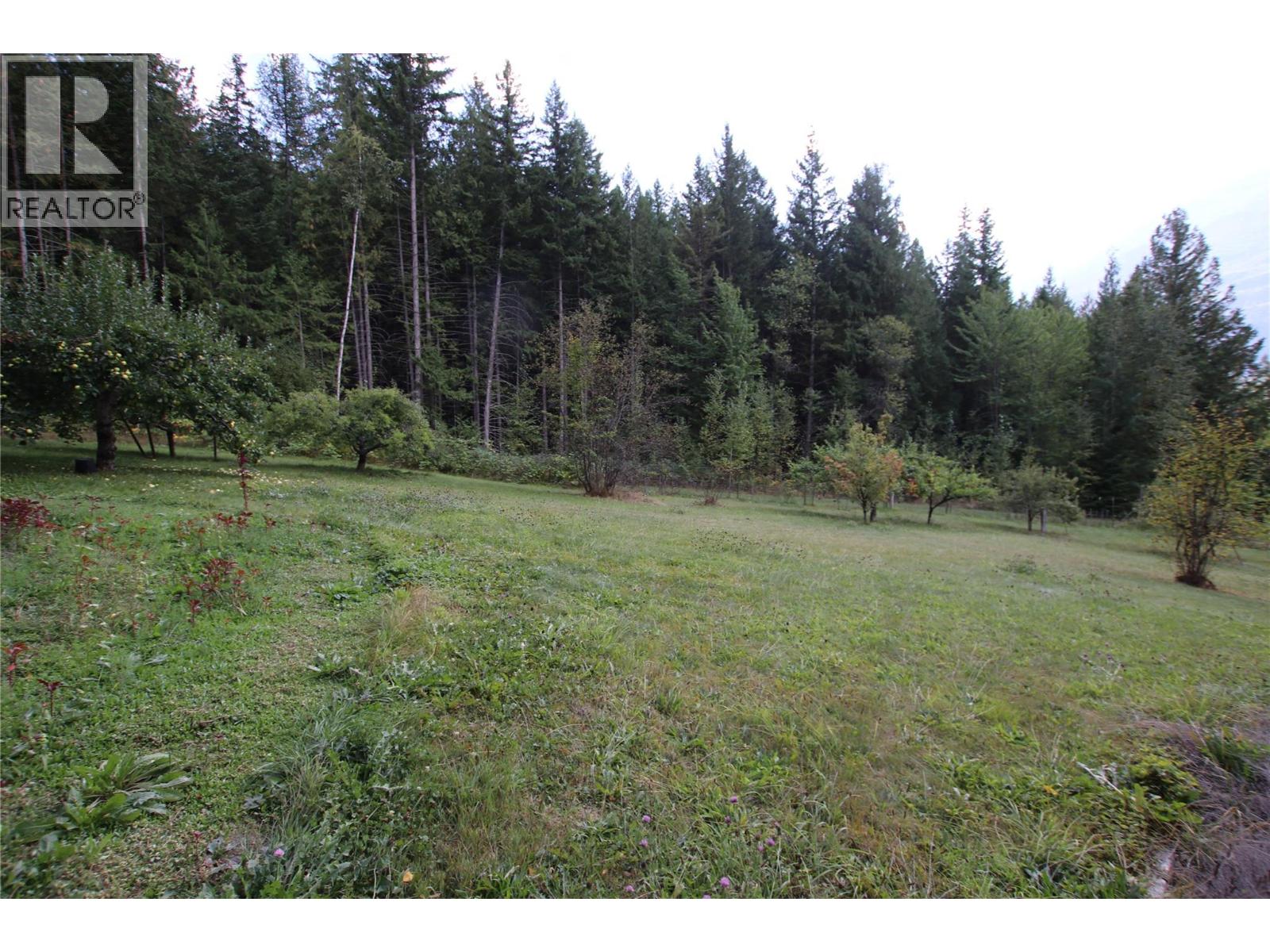 4512 Highway 6, Burton, British Columbia  V0G 1R1 - Photo 26 - 10364730