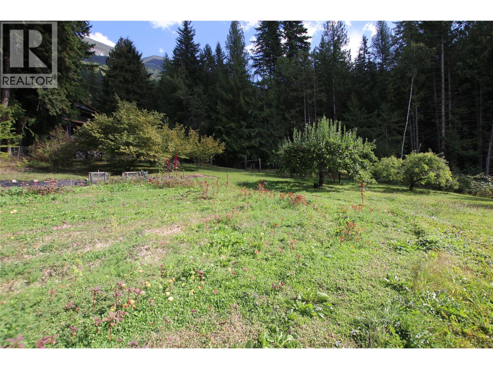 4512 Highway 6, Burton, British Columbia  V0G 1R1 - Photo 27 - 10364730