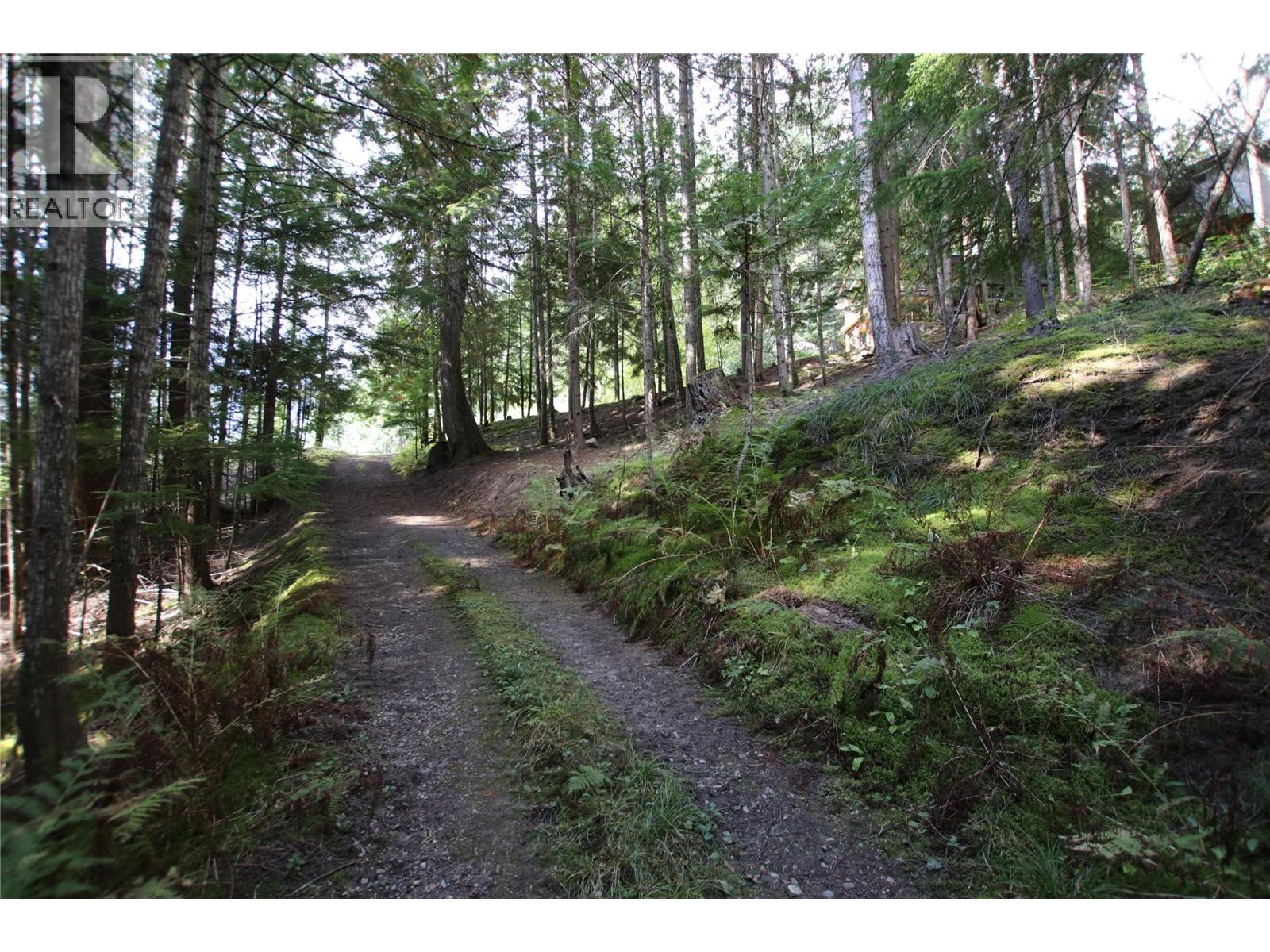 4512 Highway 6, Burton, British Columbia  V0G 1R1 - Photo 30 - 10364730