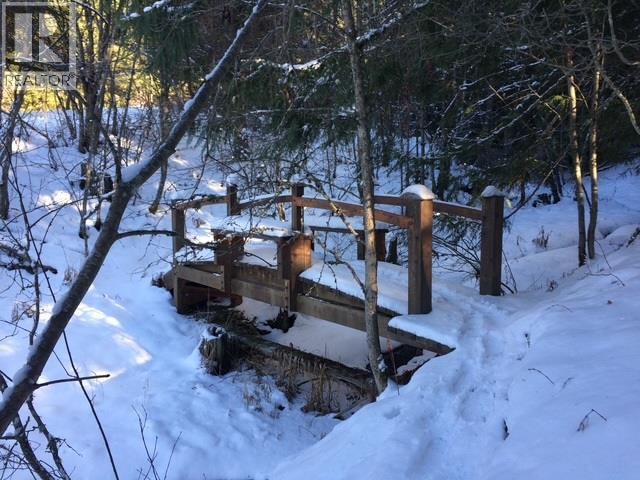 4512 Highway 6, Burton, British Columbia  V0G 1R1 - Photo 32 - 10364730