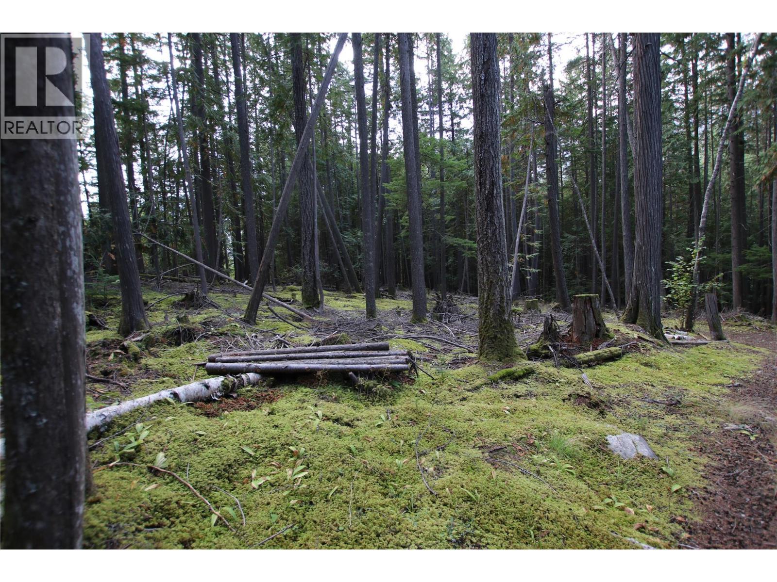 Lot 23 Highway 6, Burton, British Columbia  V0G 1R1 - Photo 10 - 10364732