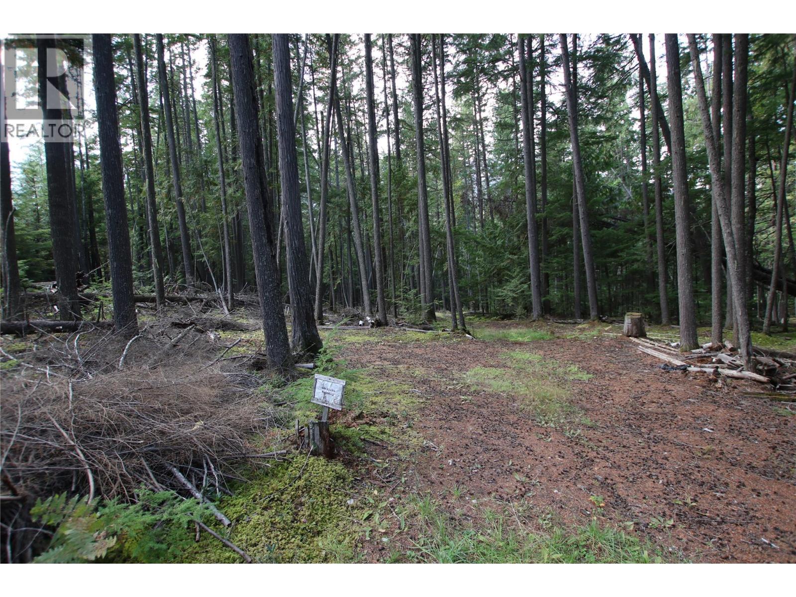 Lot 23 Highway 6, Burton, British Columbia  V0G 1R1 - Photo 13 - 10364732