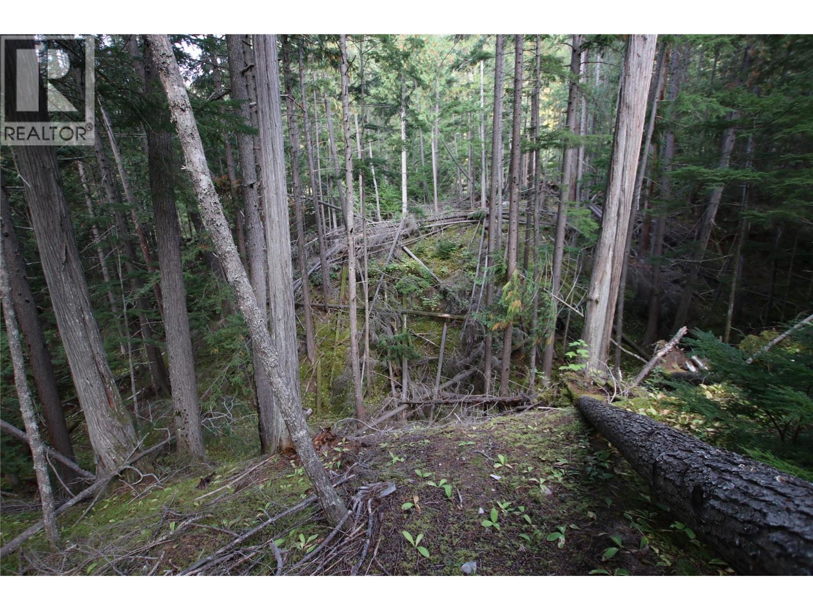 Lot 23 Highway 6, Burton, British Columbia  V0G 1R1 - Photo 14 - 10364732
