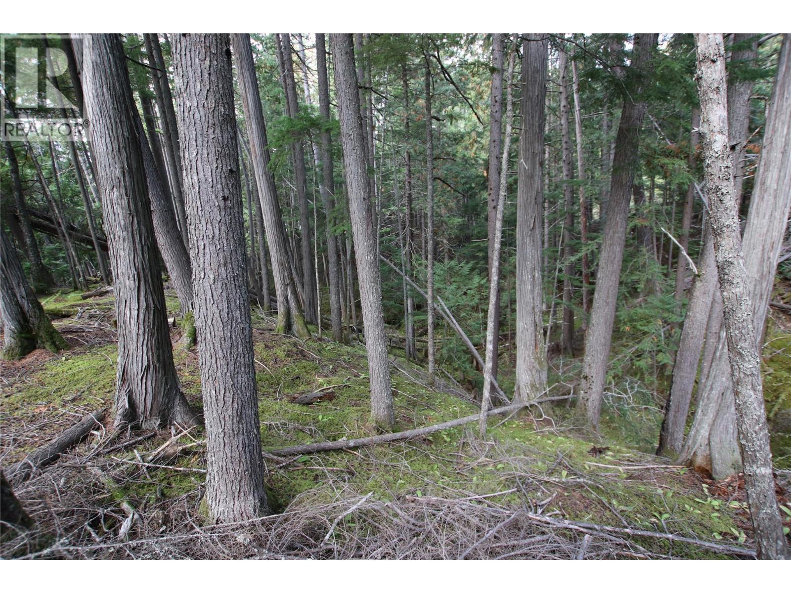 Lot 23 Highway 6, Burton, British Columbia  V0G 1R1 - Photo 15 - 10364732