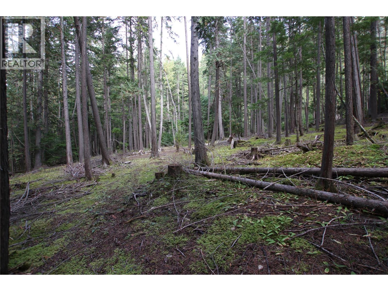Lot 23 Highway 6, Burton, British Columbia  V0G 1R1 - Photo 16 - 10364732