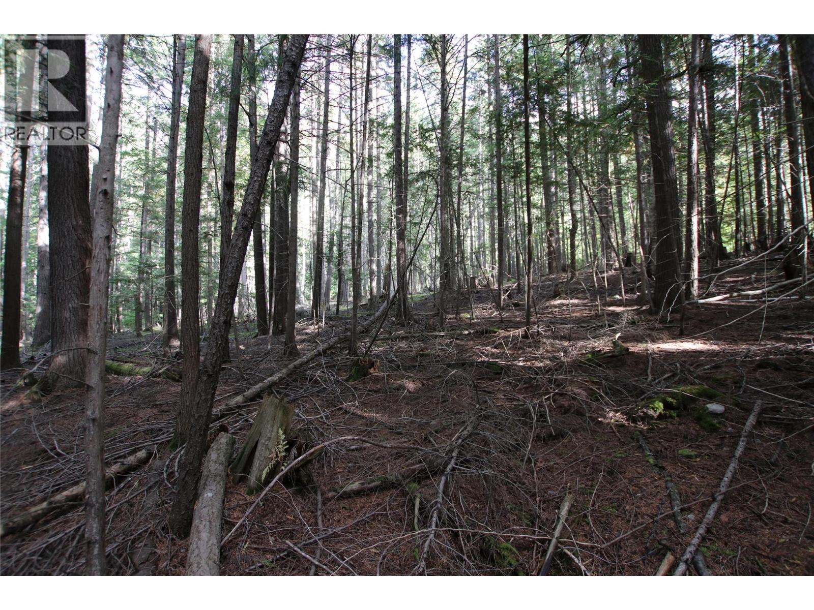 Lot 23 Highway 6, Burton, British Columbia  V0G 1R1 - Photo 17 - 10364732