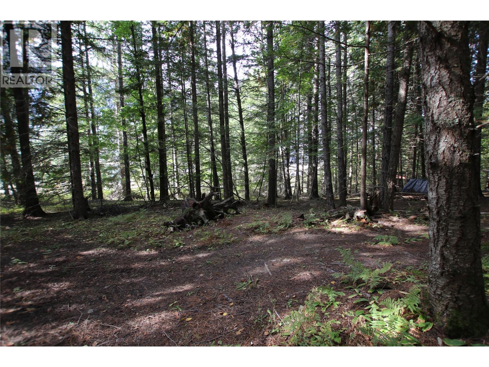 Lot 23 Highway 6, Burton, British Columbia  V0G 1R1 - Photo 19 - 10364732