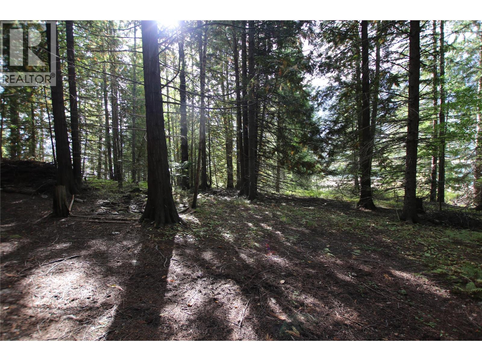 Lot 23 Highway 6, Burton, British Columbia  V0G 1R1 - Photo 20 - 10364732
