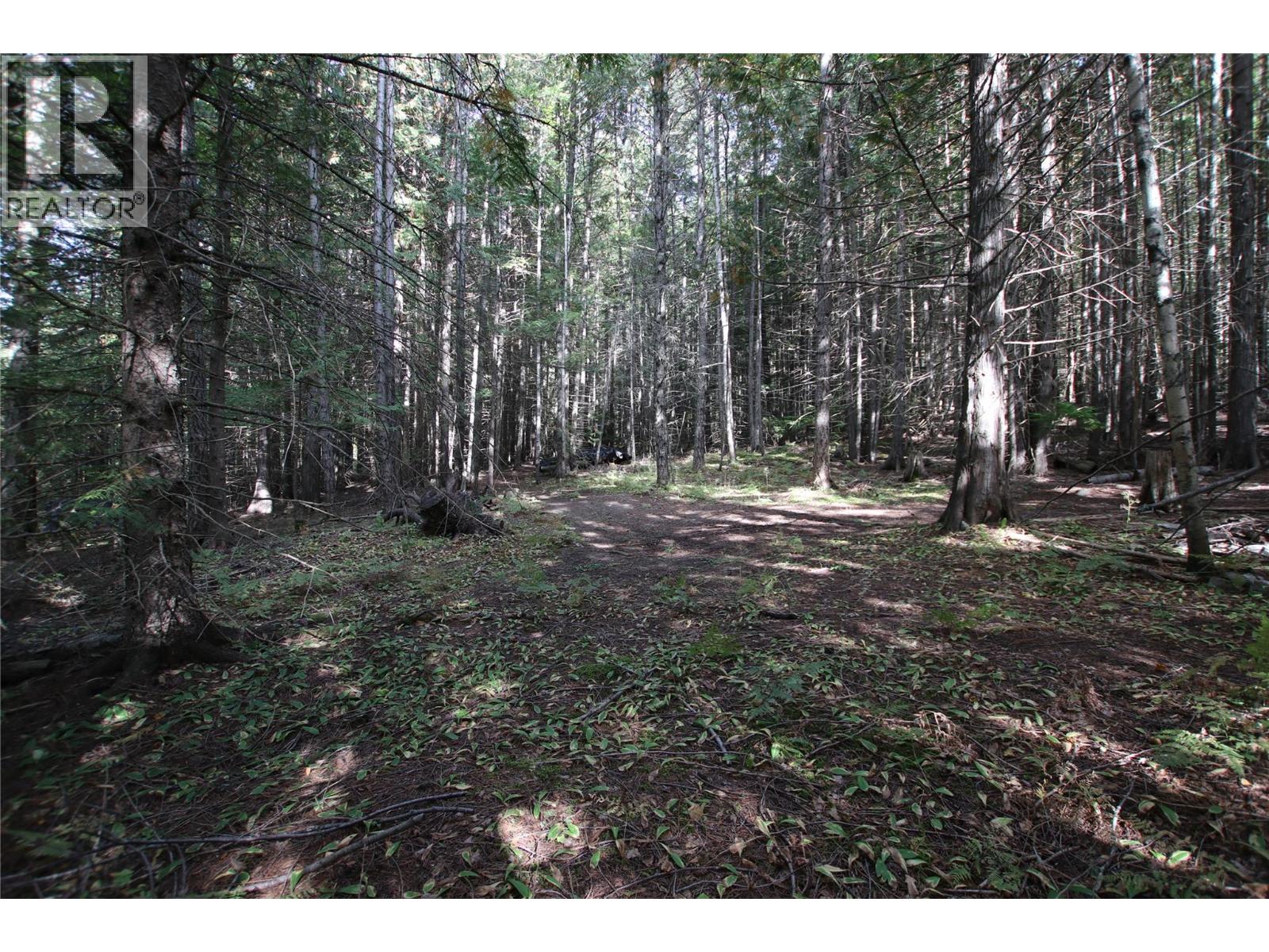 Lot 23 Highway 6, Burton, British Columbia  V0G 1R1 - Photo 21 - 10364732