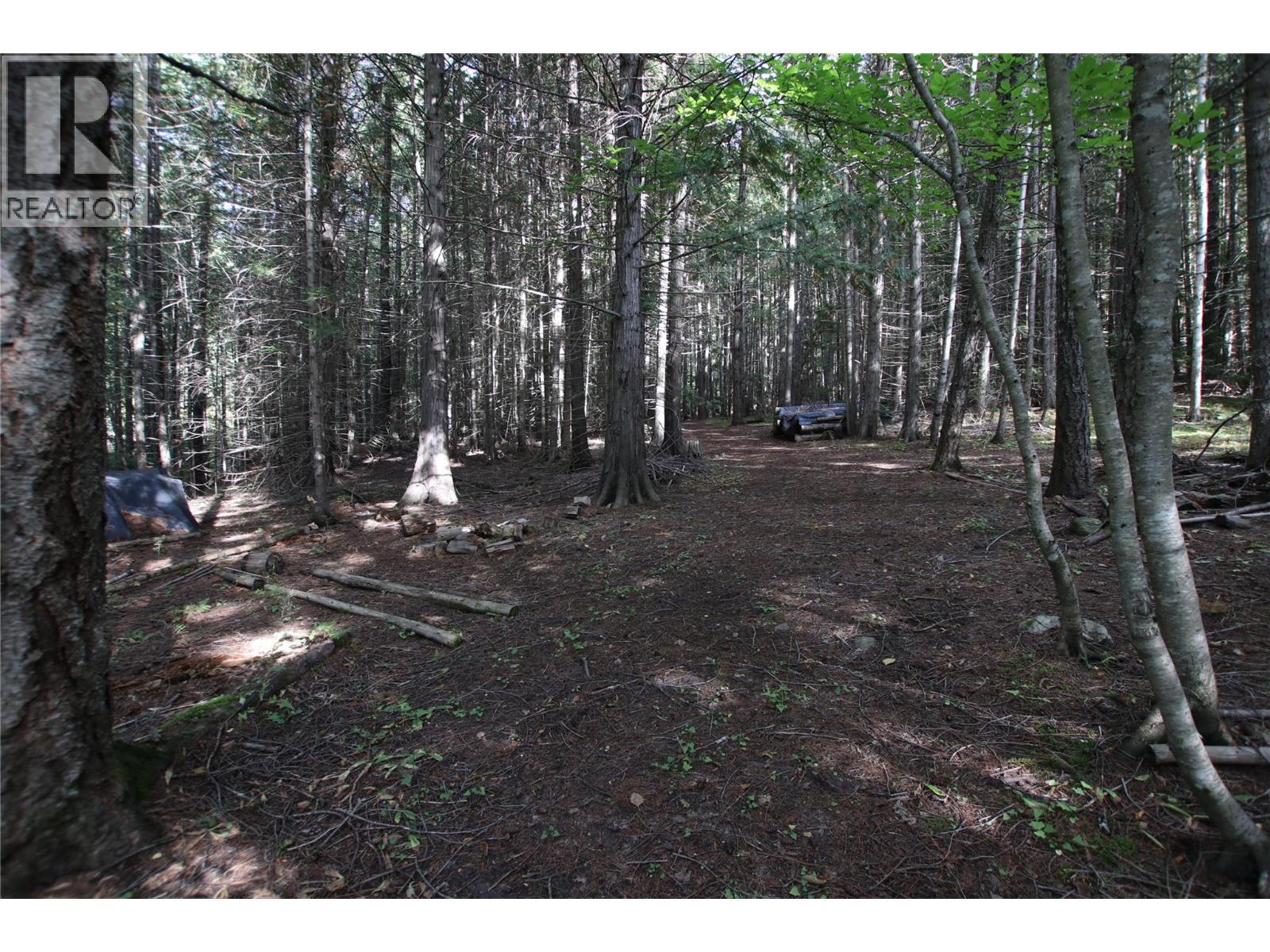 Lot 23 Highway 6, Burton, British Columbia  V0G 1R1 - Photo 22 - 10364732