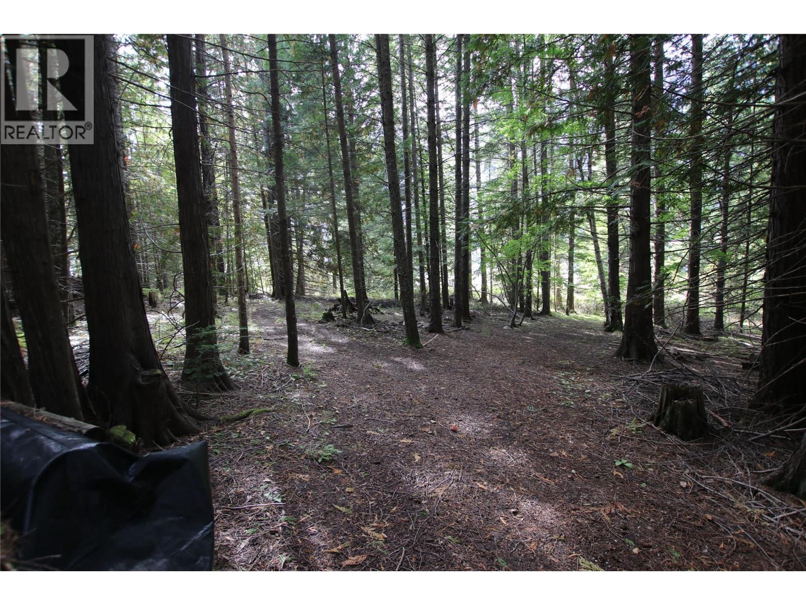 Lot 23 Highway 6, Burton, British Columbia  V0G 1R1 - Photo 25 - 10364732
