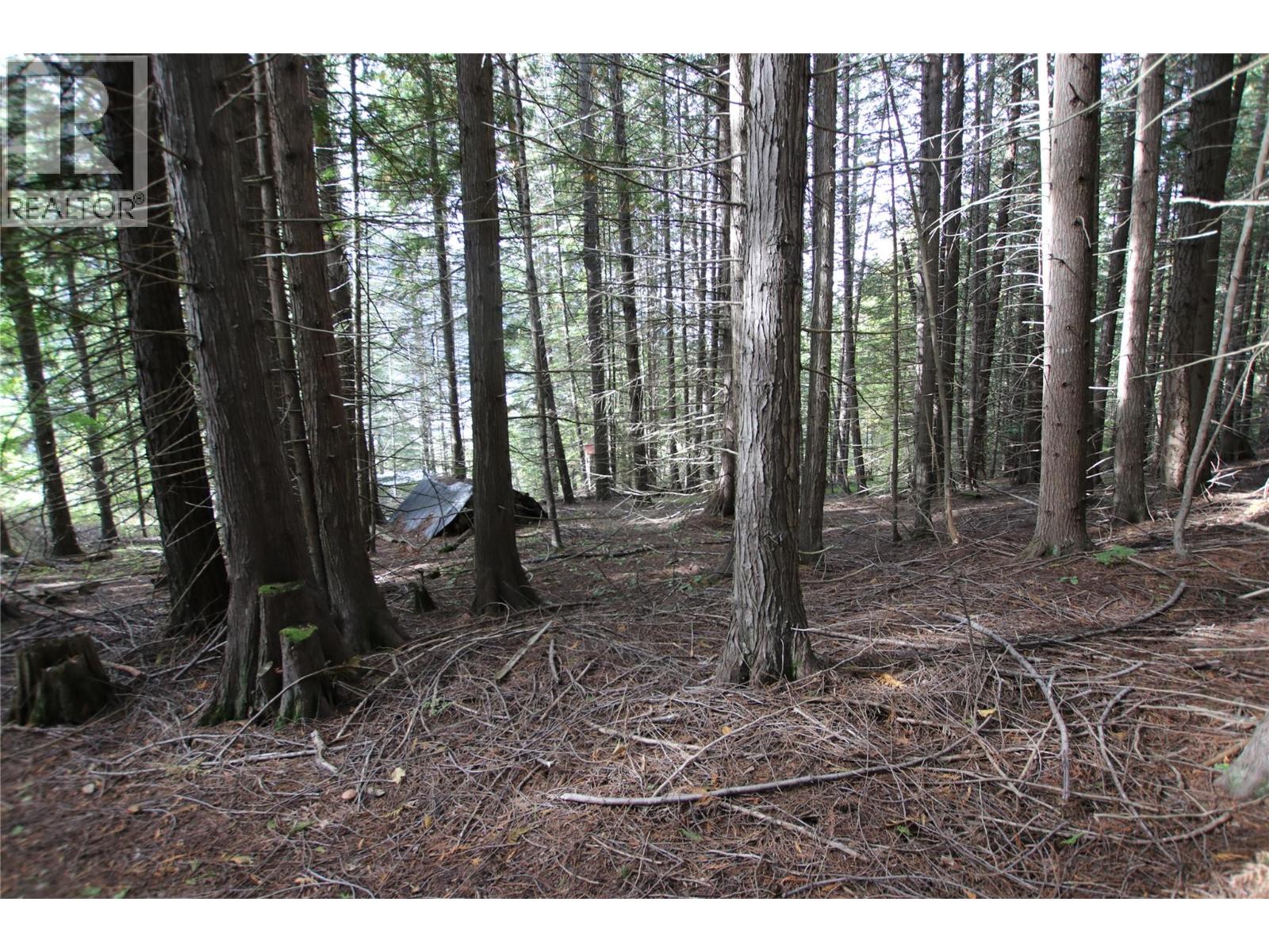 Lot 23 Highway 6, Burton, British Columbia  V0G 1R1 - Photo 26 - 10364732