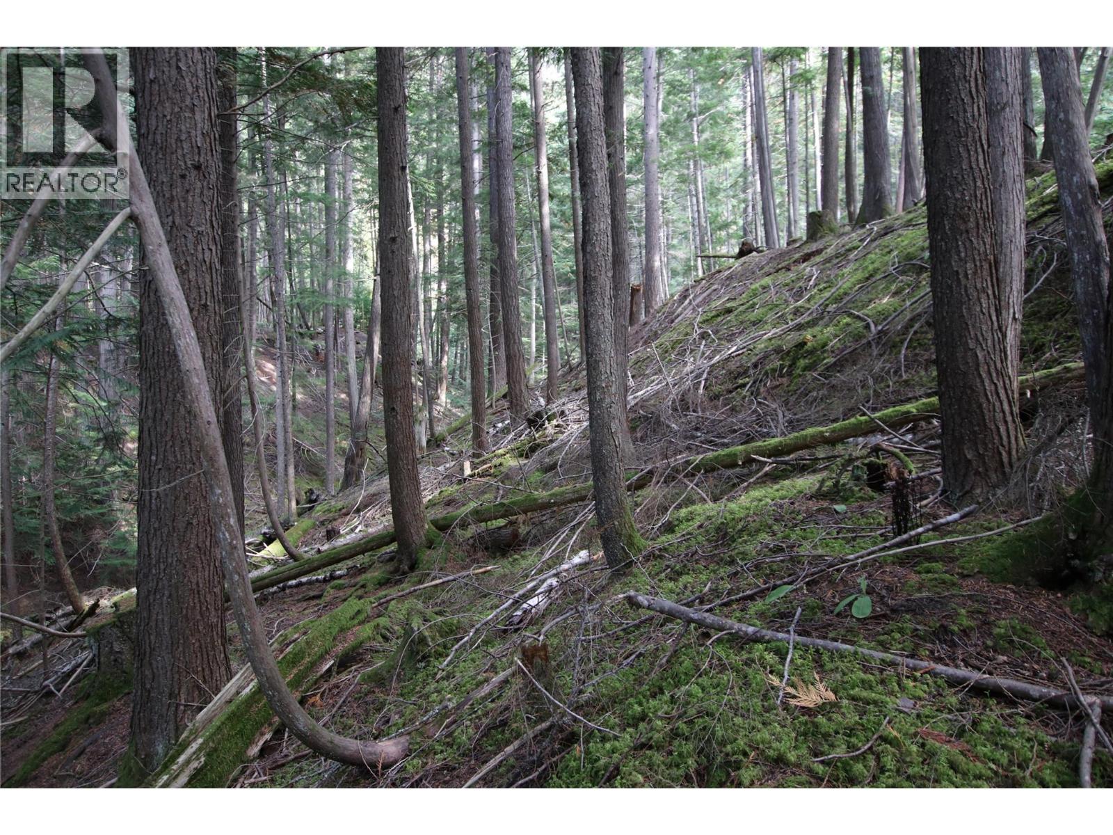 Lot 23 Highway 6, Burton, British Columbia  V0G 1R1 - Photo 5 - 10364732