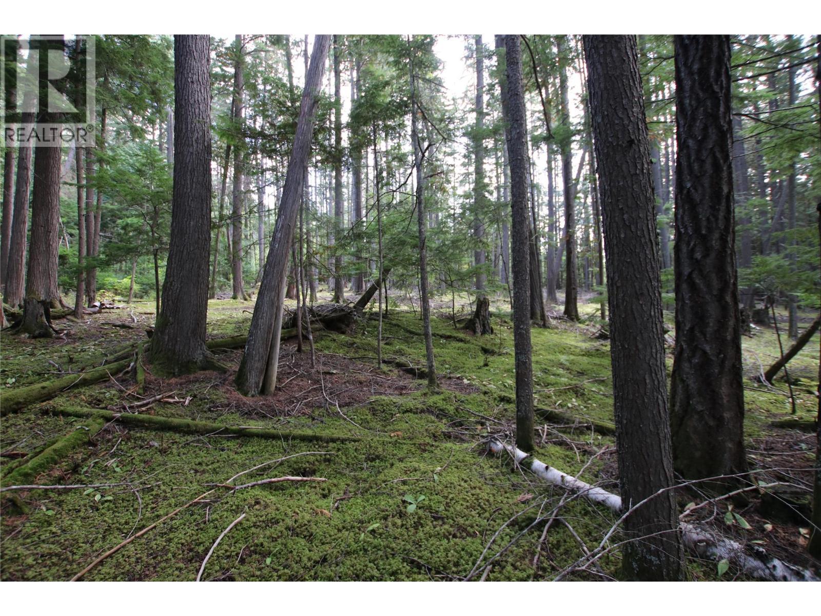 Lot 23 Highway 6, Burton, British Columbia  V0G 1R1 - Photo 8 - 10364732