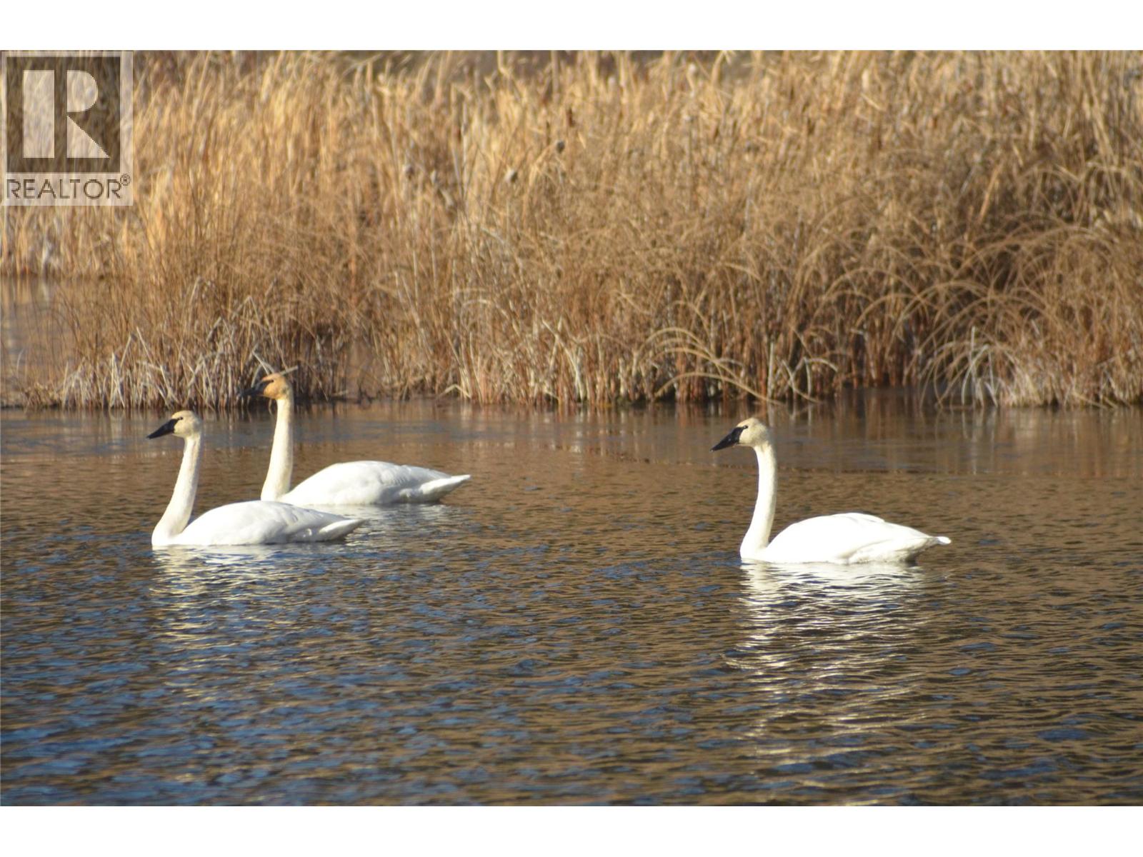 1888 Lakeview Drive, Kamloops, British Columbia  V0E 1Z1 - Photo 75 - 10364860