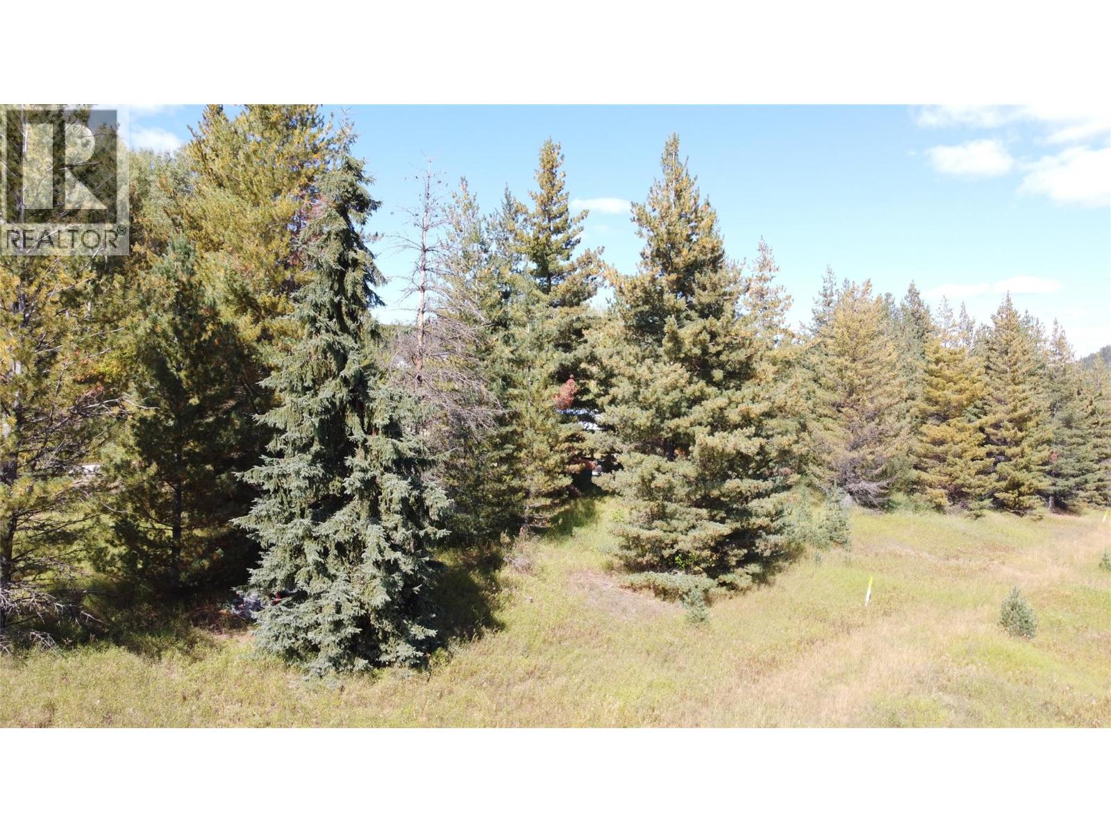 270 Richie Road, Rossland, British Columbia  V0G 1Y0 - Photo 6 - 10364350