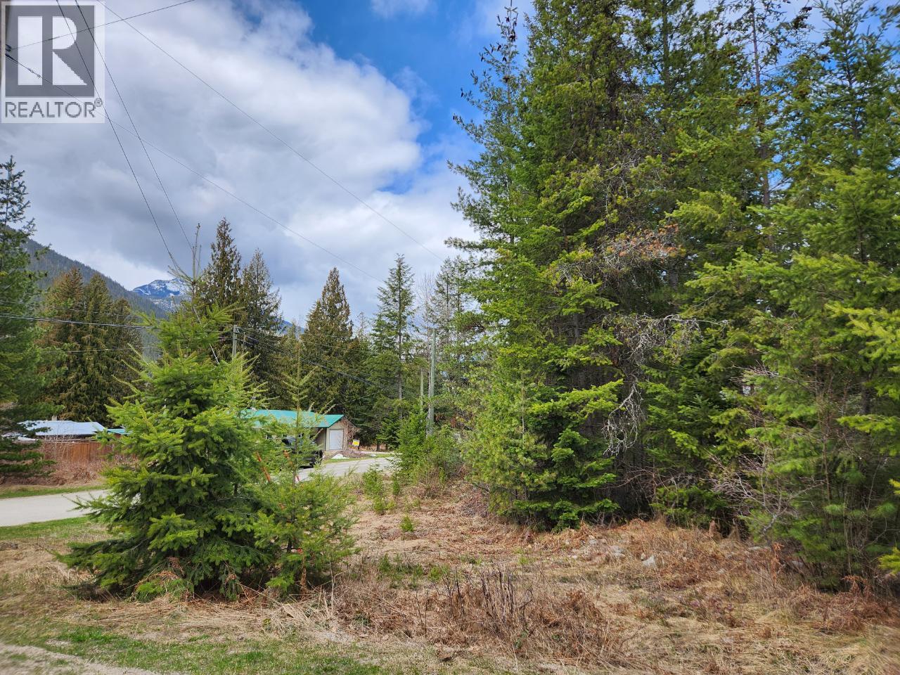 Lots 8-10 Hume Street, Slocan, British Columbia  V0G 2C0 - Photo 4 - 10364762