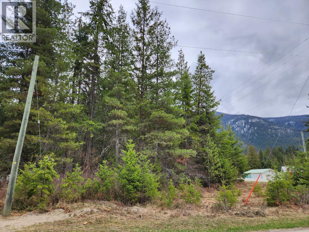 Lots 8-10 Hume Street, Slocan, British Columbia  V0G 2C0 - Photo 6 - 10364762