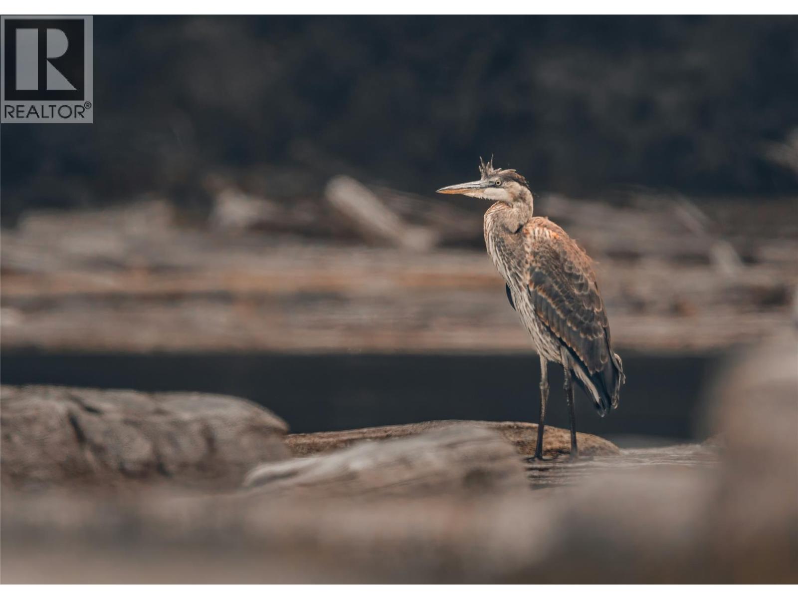 Off Commonage Road, Lake Country, British Columbia  V0B 0L0 - Photo 25 - 10364857