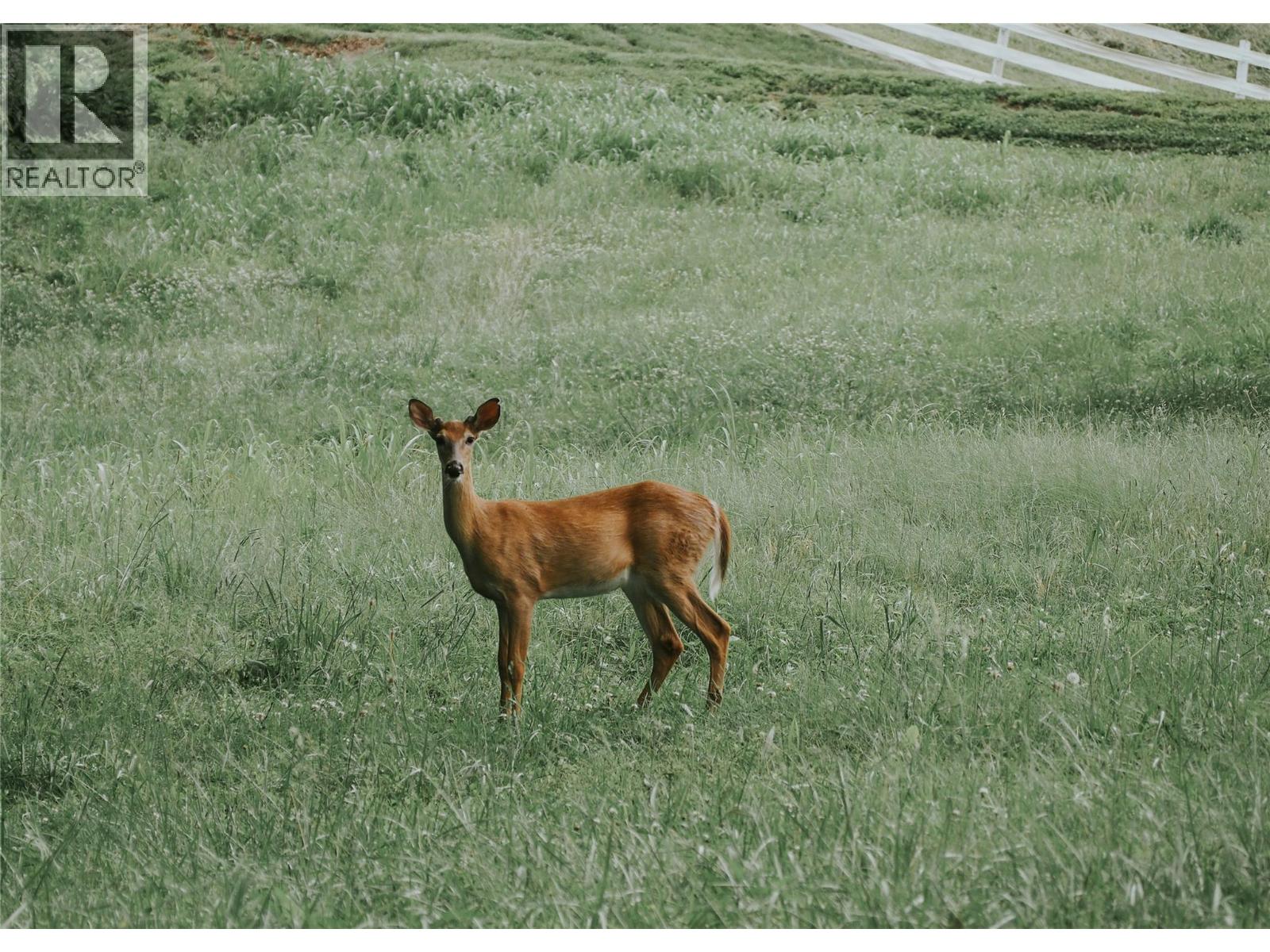 Off Commonage Road, Lake Country, British Columbia  V0B 0L0 - Photo 28 - 10364857