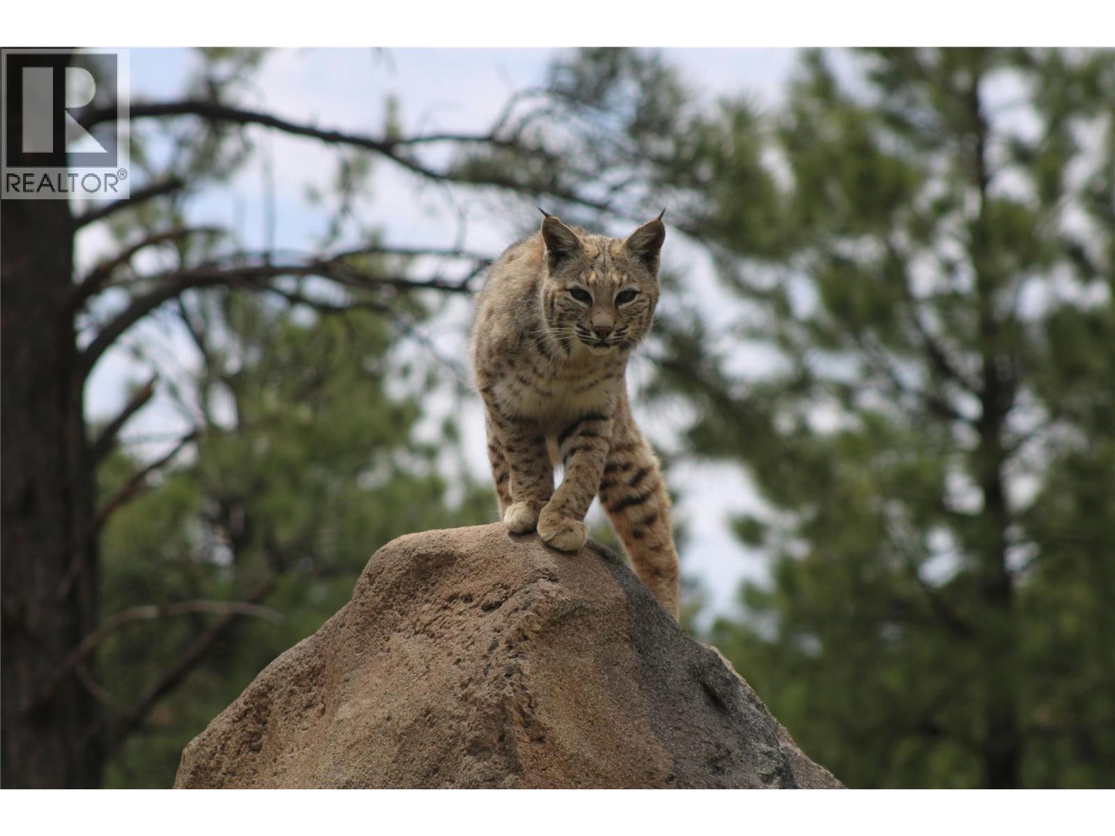 Off Commonage Road, Lake Country, British Columbia  V0B 0L0 - Photo 29 - 10364857