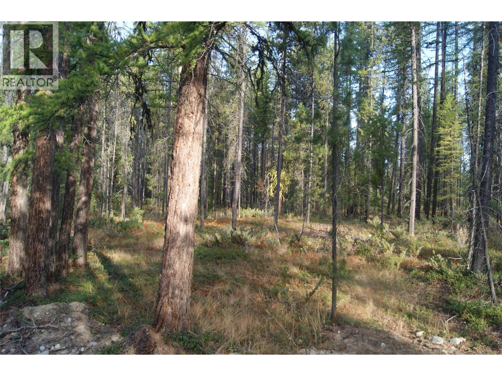 Lot A Bussey Road, Kimberley, British Columbia  V1A 3L8 - Photo 3 - 10364914