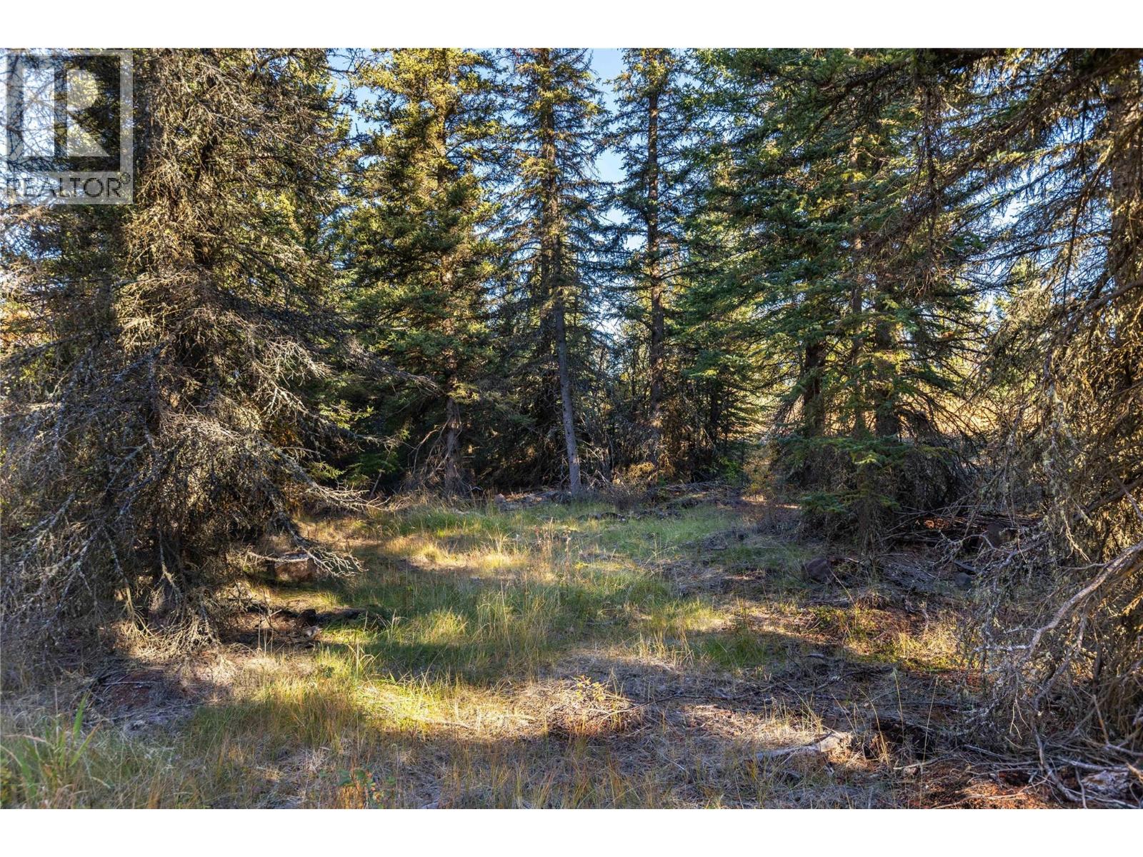 9648 Cariboo Highway 97, Clinton, British Columbia  V0K 1K0 - Photo 11 - 10364968