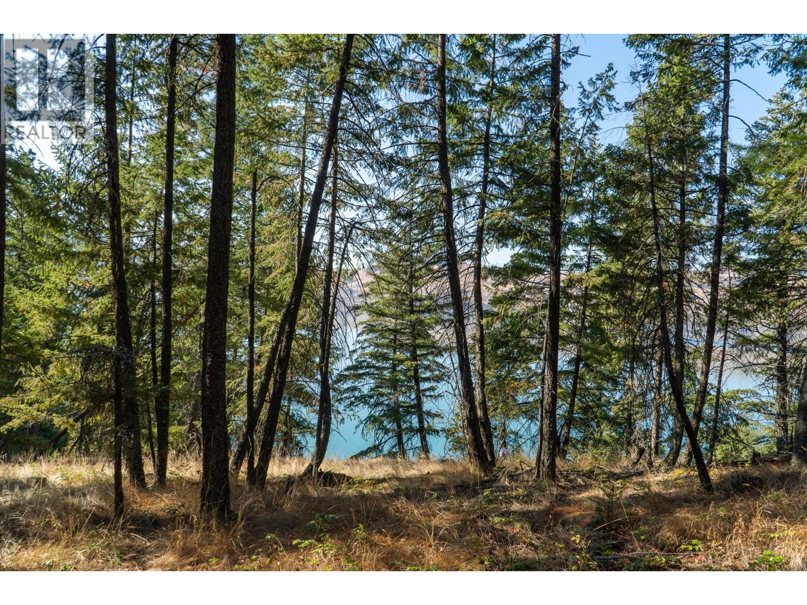 5893 Cosens Bay Road, Coldstream, British Columbia  V1B 1N8 - Photo 34 - 10364976