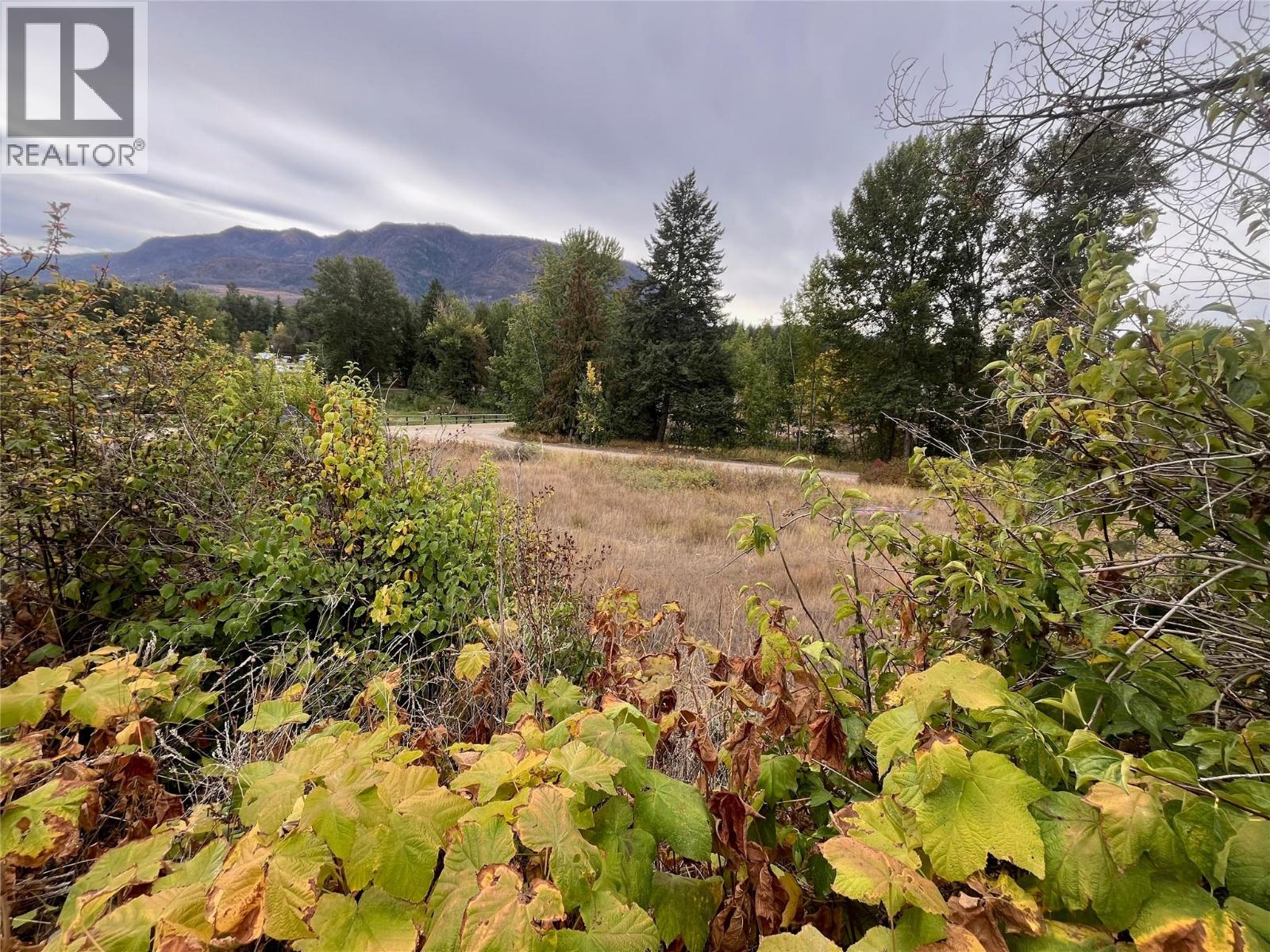 2481 Squilax Anglemont Road Lot# 48, Lee Creek, British Columbia  V0E 1M4 - Photo 2 - 10364929