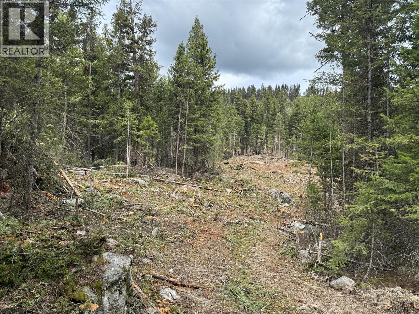 4288 Princeton Summerland Road, Princeton, British Columbia  V0X 1W0 - Photo 43 - 10365005