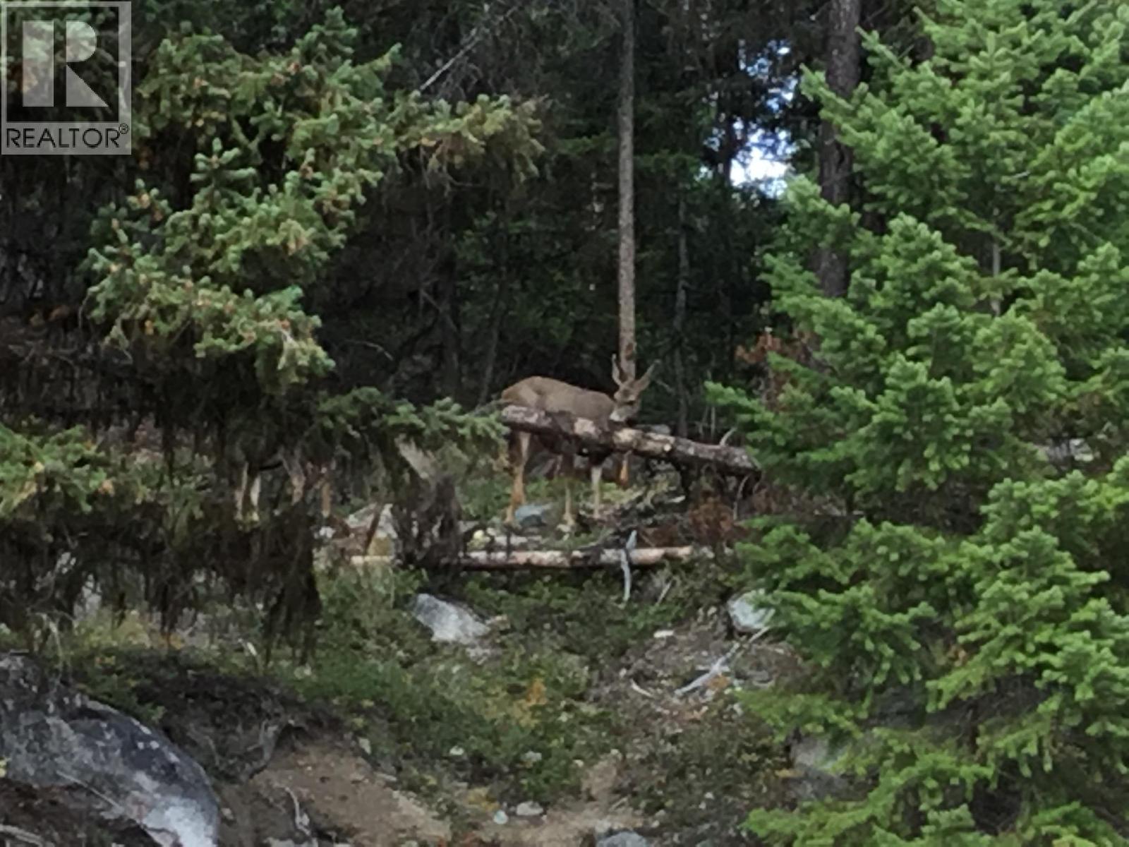 4288 Princeton Summerland Road, Princeton, British Columbia  V0X 1W0 - Photo 52 - 10365005