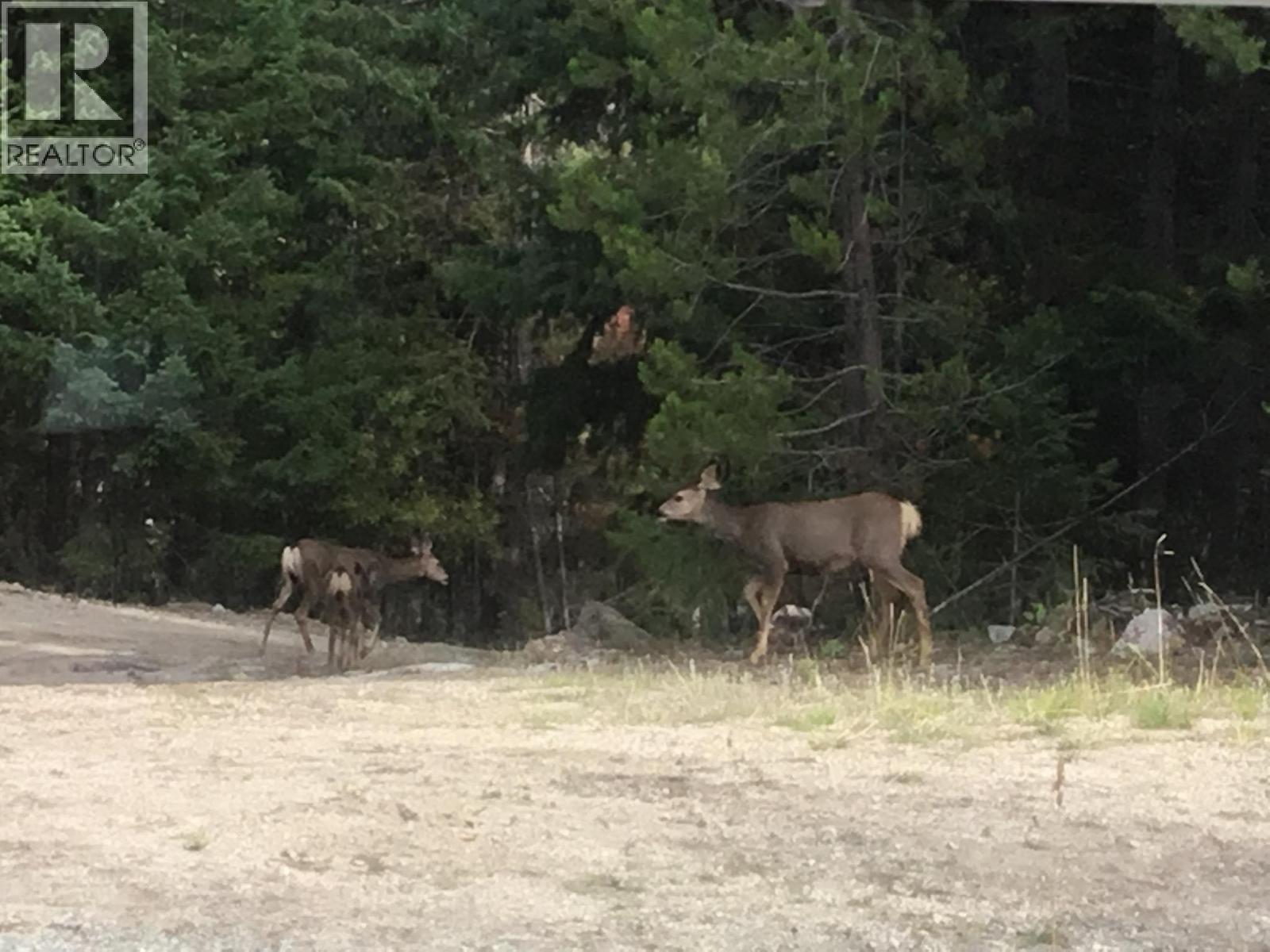 4288 Princeton Summerland Road, Princeton, British Columbia  V0X 1W0 - Photo 53 - 10365005