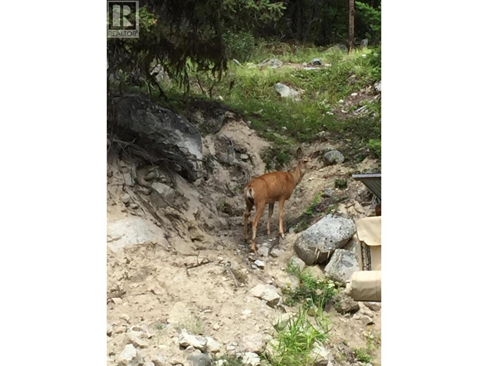 4288 Princeton Summerland Road, Princeton, British Columbia  V0X 1W0 - Photo 54 - 10365005