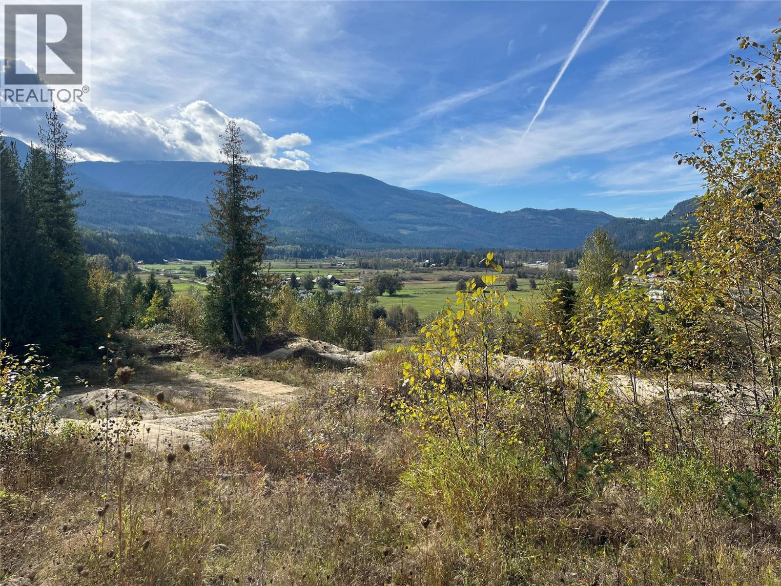 00 Oxbow Frontage Road, Malakwa, British Columbia  V0E 2J0 - Photo 9 - 10364767