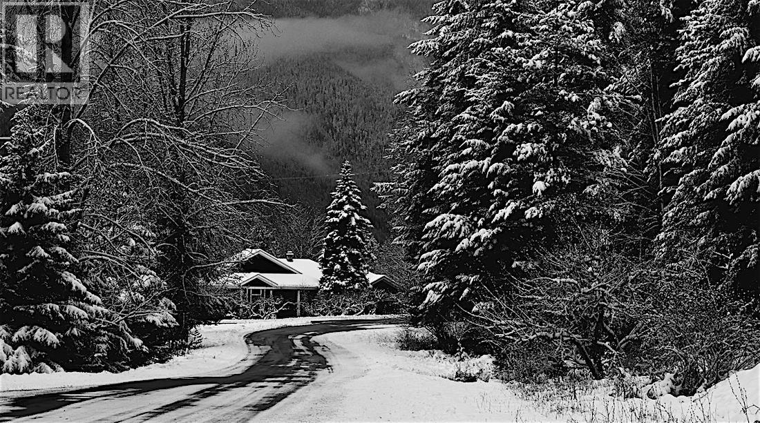 1305 Denver Siding Road, New Denver, British Columbia  V0G 1S1 - Photo 49 - 10365030