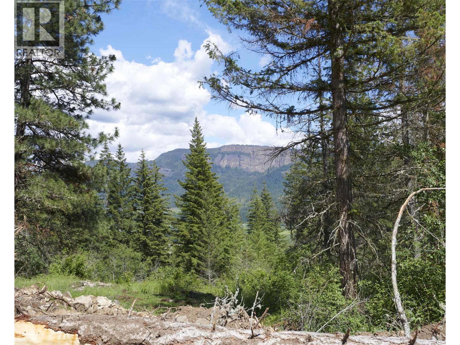 See Schedule B, Enderby, British Columbia  V0E 1V1 - Photo 17 - 10364045