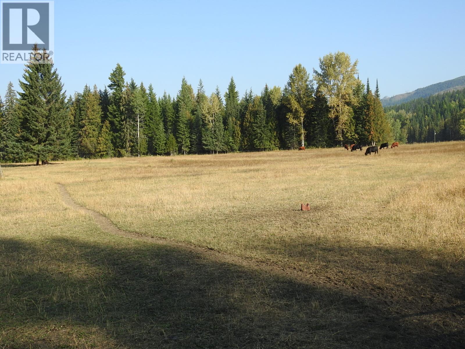 1852 Trinity Valley Road, Lumby, British Columbia  V0E 2G4 - Photo 13 - 10364854