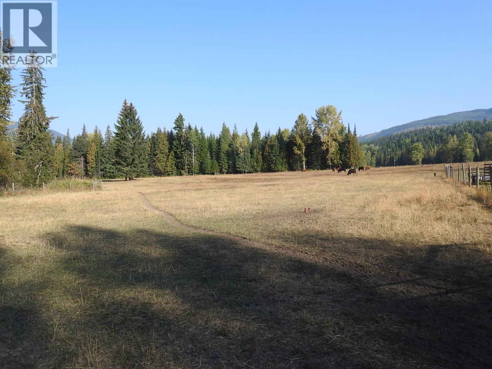 1852 Trinity Valley Road, Lumby, British Columbia  V0E 2G4 - Photo 14 - 10364854