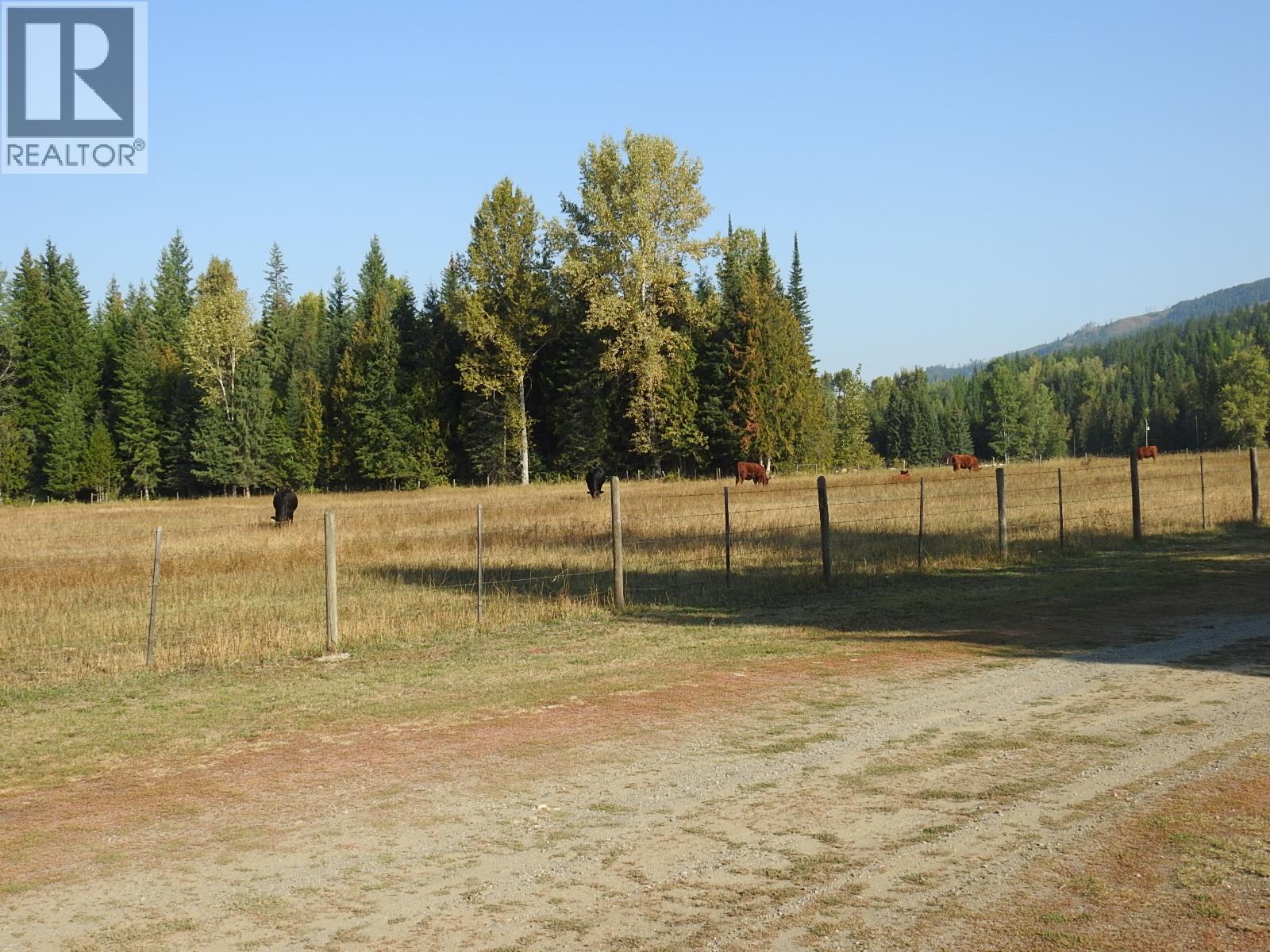 1852 Trinity Valley Road, Lumby, British Columbia  V0E 2G4 - Photo 17 - 10364854