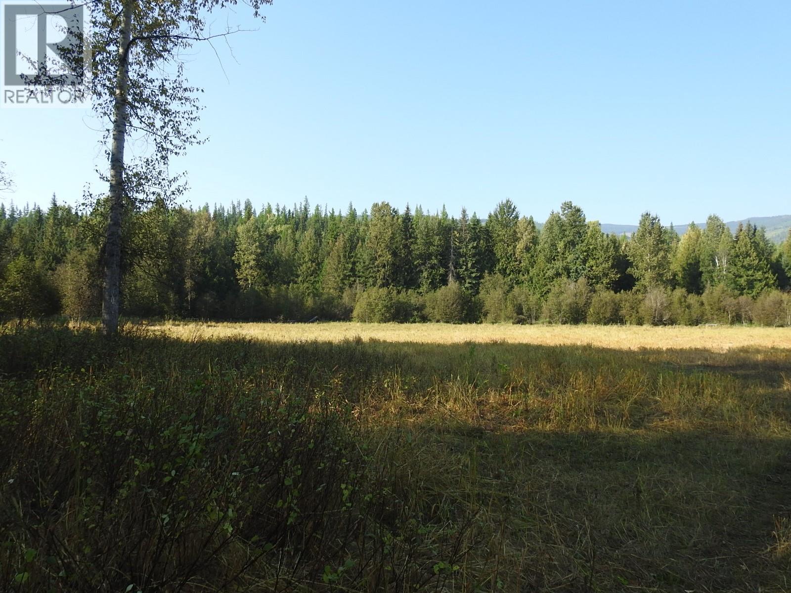 1852 Trinity Valley Road, Lumby, British Columbia  V0E 2G4 - Photo 23 - 10364854