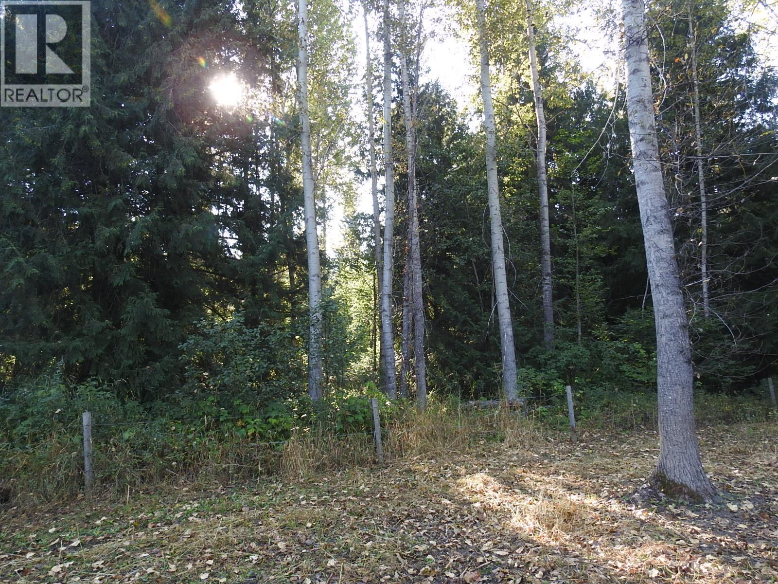 1852 Trinity Valley Road, Lumby, British Columbia  V0E 2G4 - Photo 27 - 10364854
