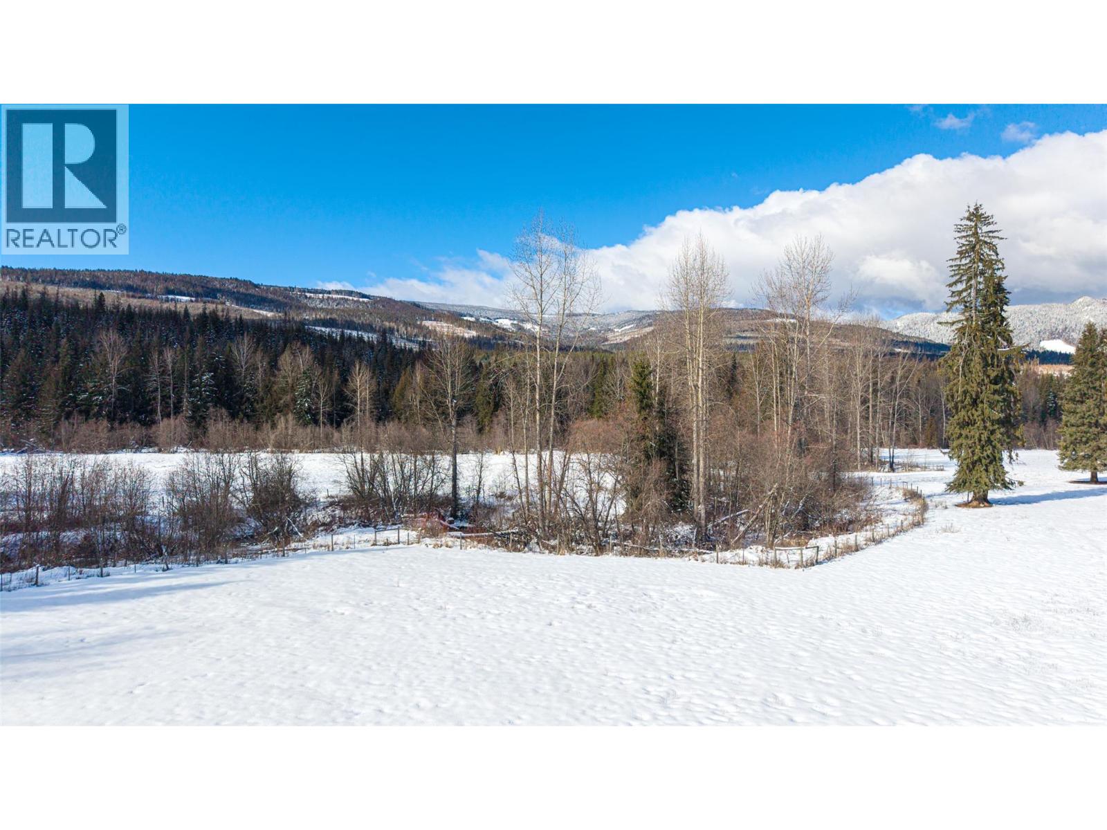 1852 Trinity Valley Road, Lumby, British Columbia  V0E 2G4 - Photo 73 - 10364854
