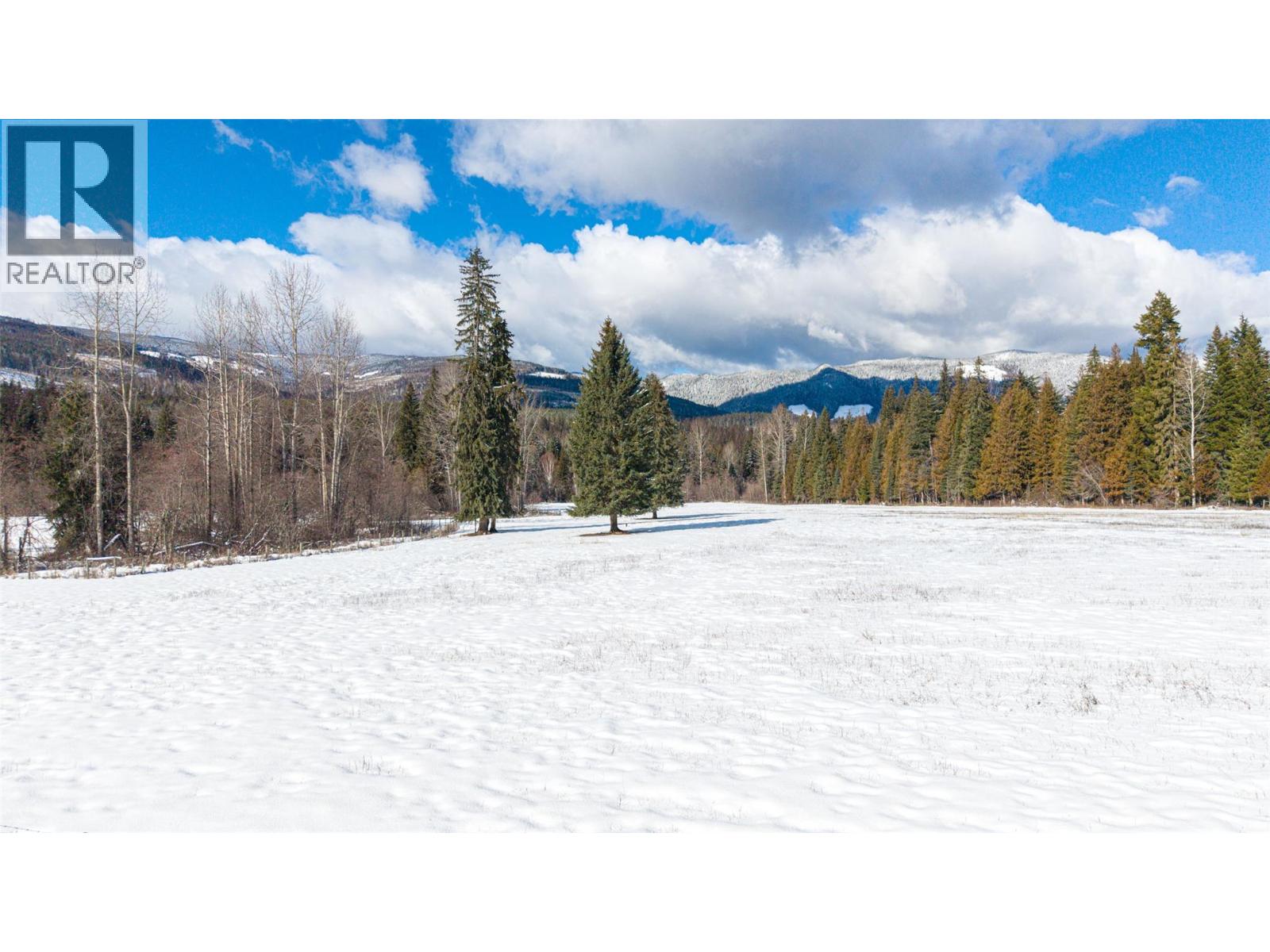 1852 Trinity Valley Road, Lumby, British Columbia  V0E 2G4 - Photo 82 - 10364854
