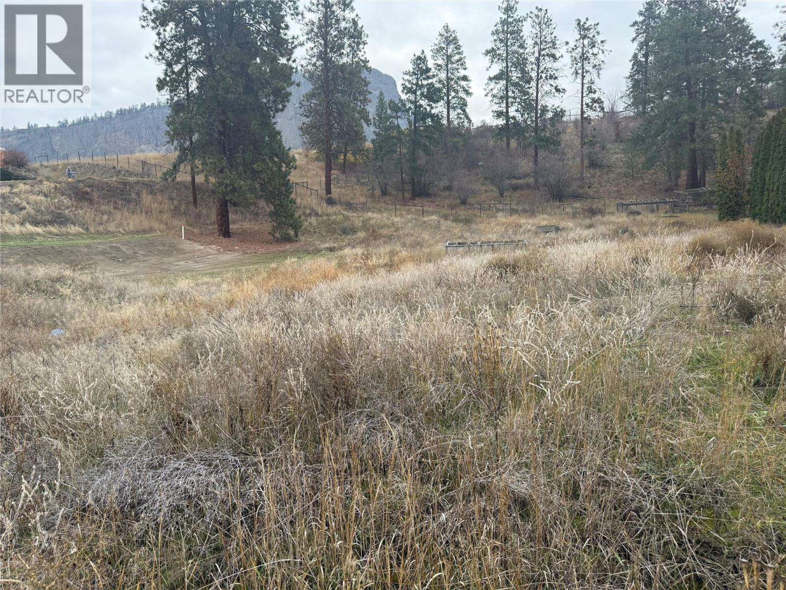 8015 Victoria Road S, Summerland, British Columbia  V0H 1Z2 - Photo 89 - 10365413