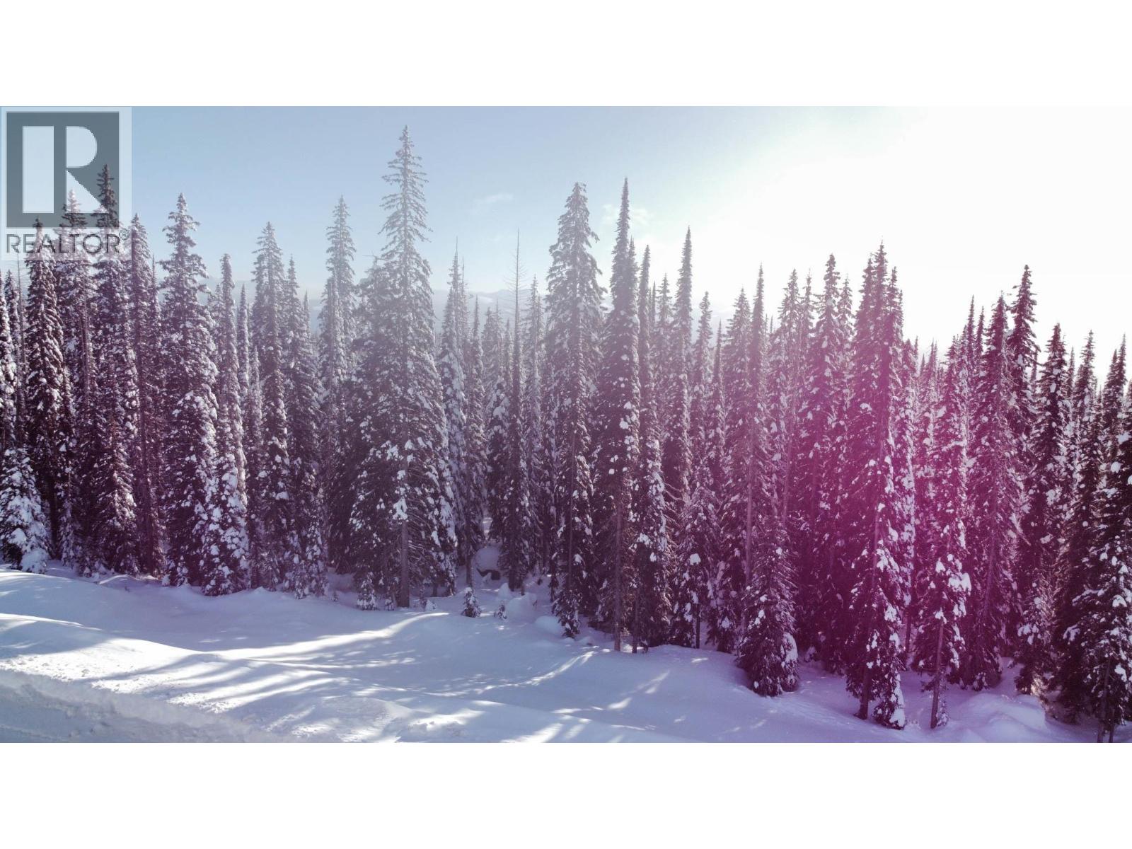 Dl4259 Black Forest Road, Big White, British Columbia  V1P 1P3 - Photo 18 - 10364636