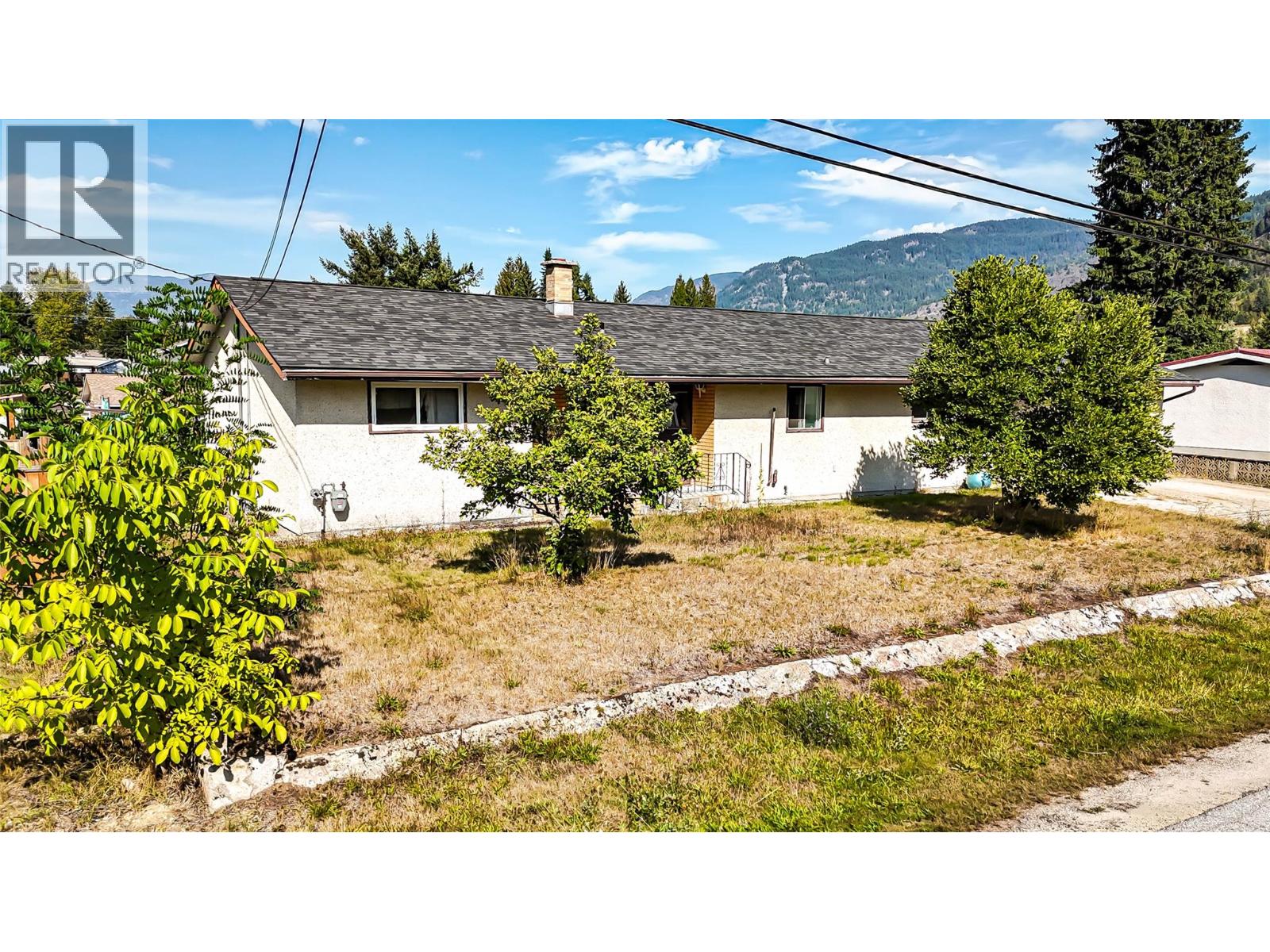 115 101st Street, Castlegar, British Columbia  V1N 3E3 - Photo 3 - 10363903